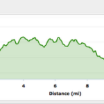 Georgia Half Marathon – Course and Elevation