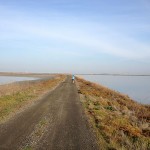 Rave Run – San Francisco Bay Trail