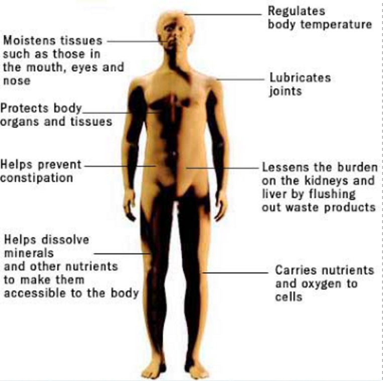 effect of hydration