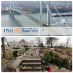 Would you run or Would you not?