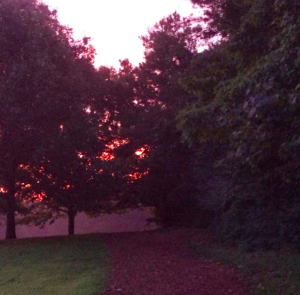 Kennesaw Mountain Trails