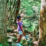 The Smoky Mountains – Easy Trails for Children