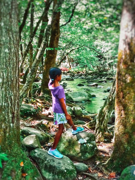 Trails in Smoky Mountains