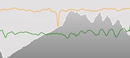 Craft Classic Half Marathon