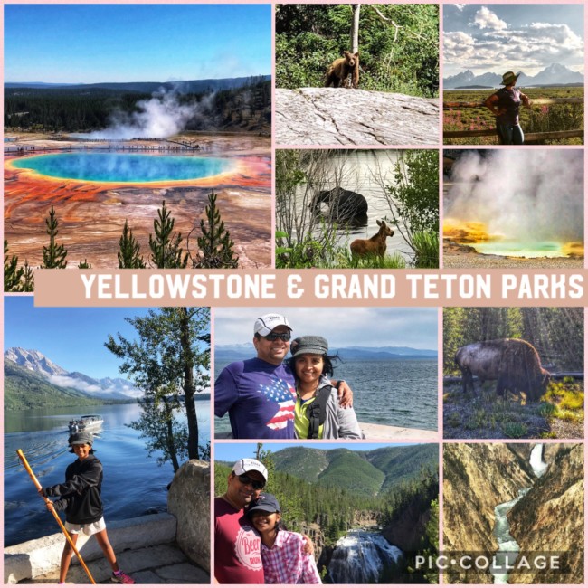 Yellowstone Grand Teton